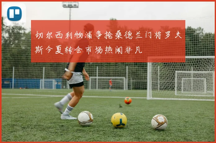 切尔西利物浦争抢桑德兰门将罗夫斯今夏转会市场热闹非凡