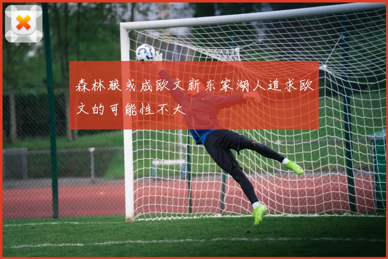森林狼或成欧文新东家湖人追求欧文的可能性不大