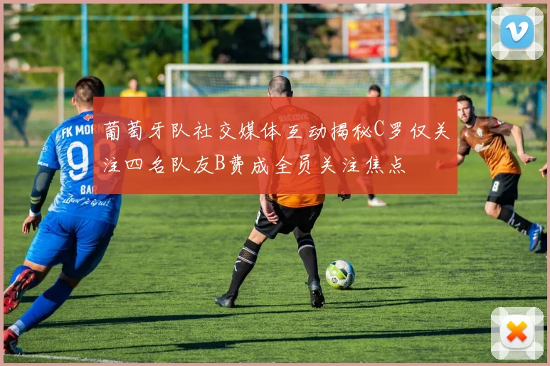 葡萄牙队社交媒体互动揭秘C罗仅关注四名队友B费成全员关注焦点